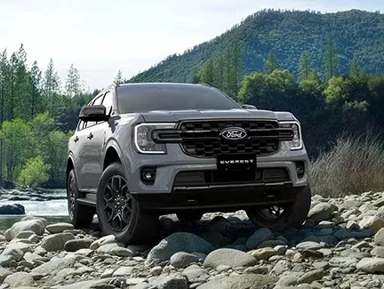 Tiếp điểm cứu hộ kép